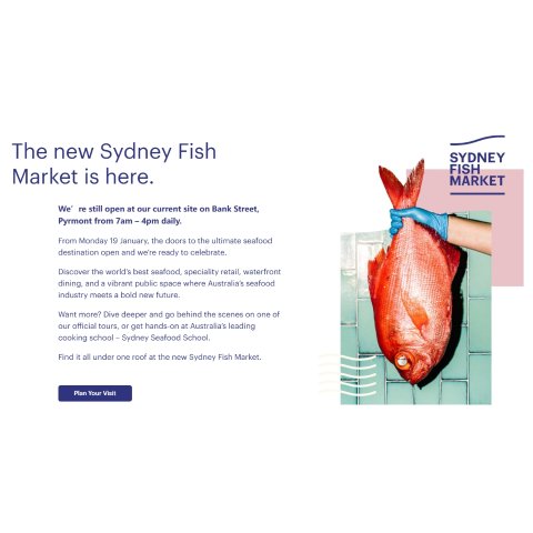 悉尼新鱼市开业啦🦞世界级海鲜打卡地