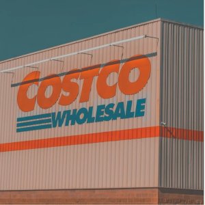 1月19-2月15日🗓️