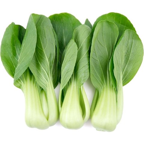 Shanghai Shanghai Baby小白菜 2-3株