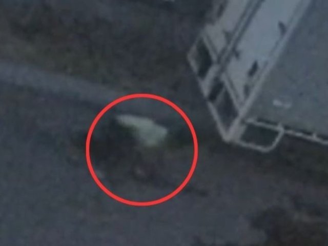 周四凌晨惊魂！墨尔本卡车司机家门口...