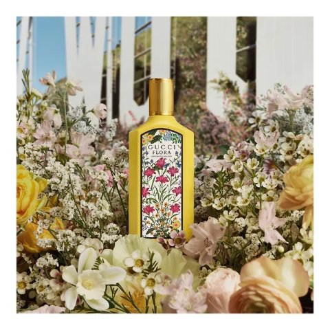 绮梦香兰草 50ml