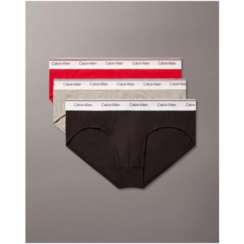 Hip Briefs 三条装