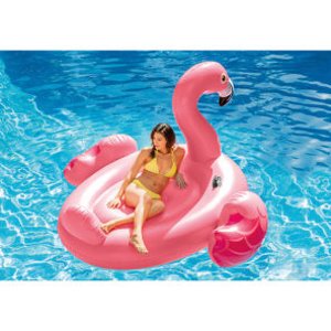 拍照神器Intex超级大Flamingo成人游泳船指导价59.99欧，折后39.99欧