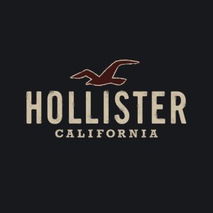 Hollister 某书爆款都有！斜肩长袖$24、超火小够狗毛衣$59