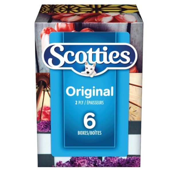 Scotties 抽纸 6盒装