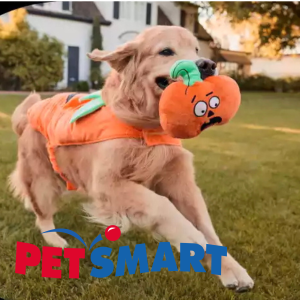 PetSmart 🎃万圣节宠物也疯狂🍬带上你家主子trick-or-treat吧