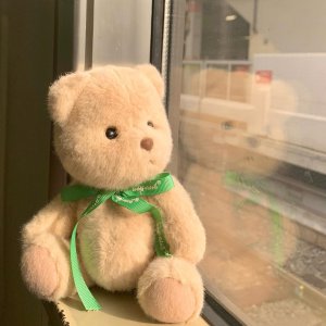 输了❗️Jellycat败给了ta...TeddyTales莉娜熊🐻被低估的潜力股