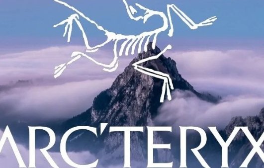 Arc'teryx 始祖鸟官网 黑五大促开抢！Arc'teryx 始祖鸟官网 黑五大促开抢！