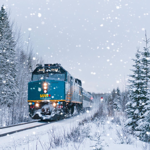 观光列车经济舱9折💥⚡️仅限今天⚡️：VIA Rail Canada 周二特价 魁北克市 - 温莎走廊经济舱9折🔥