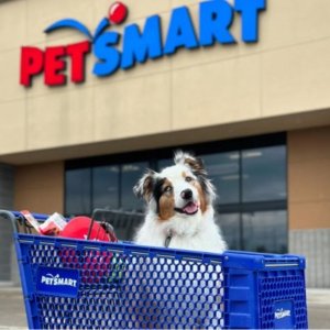 黑五价：Petsmart 早鸟价开冲💥 兽医推荐狗狗益生菌仅$1/包