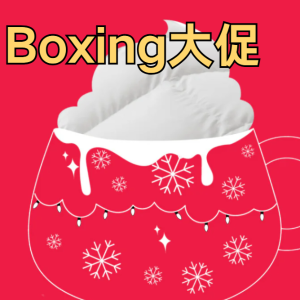 ⚡️Boxing day⚡️：Canadian Down & Feather 羽绒被$109起