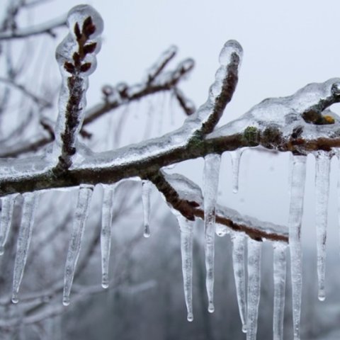 加拿大天气预报 - -45°C极寒+30cm降雪+妖风，多地发布天气警告！这些地区别出门了！