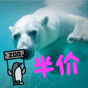 今天❗Toronto Zoo 多伦多动物园冬季活动 去看北极熊