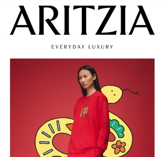 Aritzia 蛇年限定上新Aritzia 蛇年限定上新