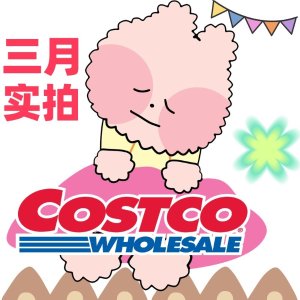 Costco 3月实拍📷戴森V15立减$175、Kirkland婴儿奶粉$34.99