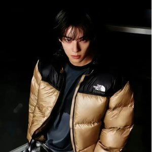 The North Face 包帅的 Gotham白色600蓬羽绒$185.99