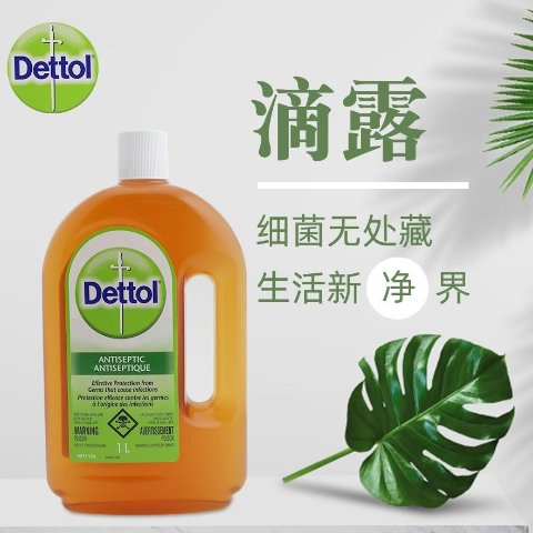 Dettol 滴露消毒液 1L 卓越杀菌能力 消毒除螨99.99%