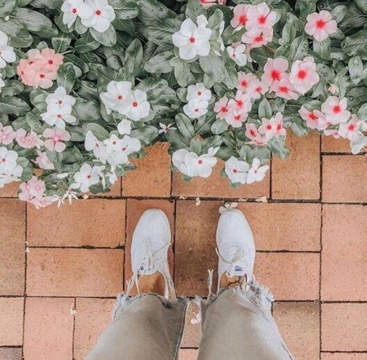 Keds Champion 经典小白鞋