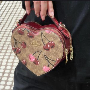 低至3折 封面款仅$129！Coach奥莱 樱桃系列🍒和LV × 村上隆傻傻分不清楚