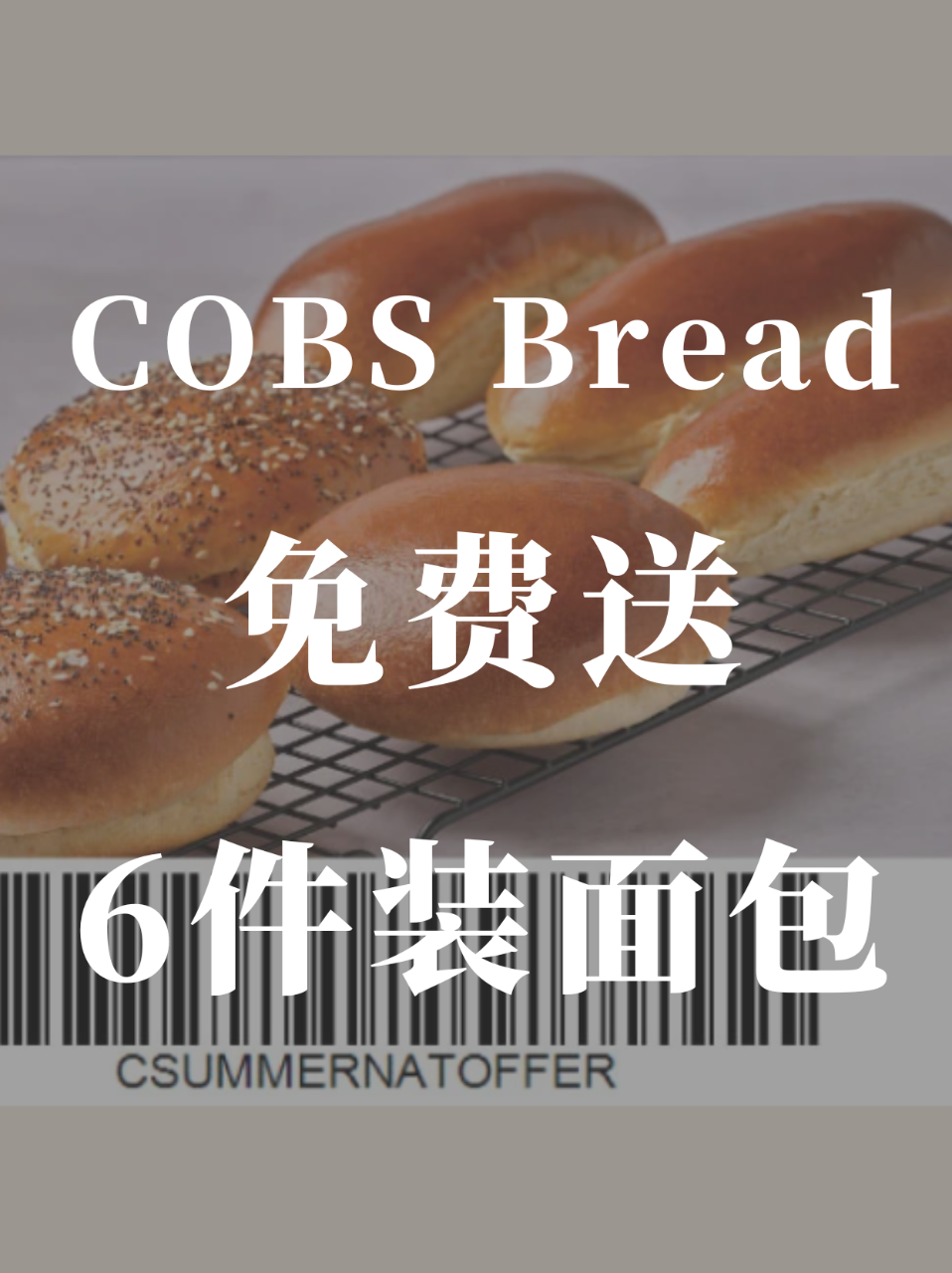COBS Bread买Cruffin🥐免...