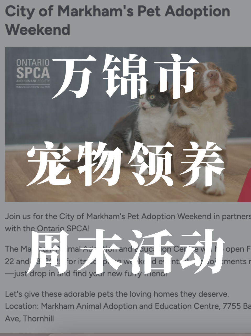 万锦市🐈🐶宠物领养周末活动...
