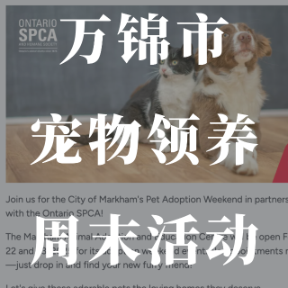 万锦市🐈🐶宠物领养周末活动...