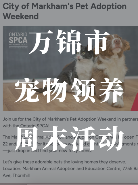 万锦市🐈🐶宠物领养周末活动