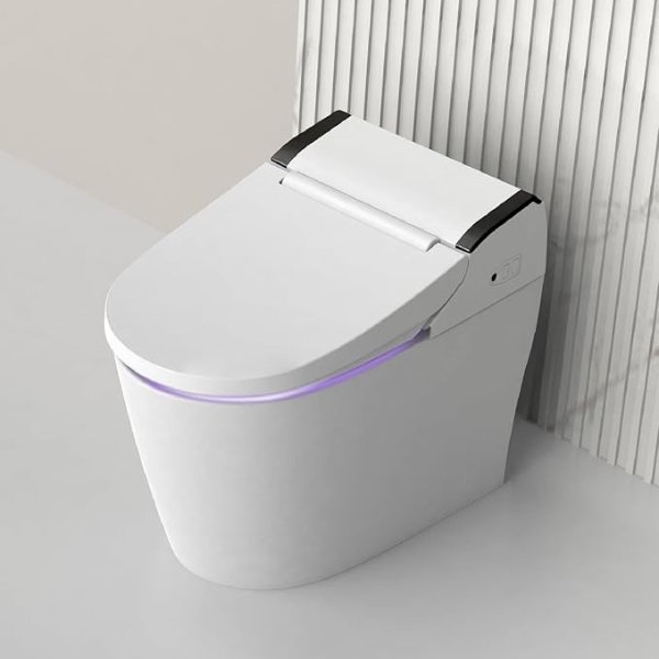 VOVO TCB-8100N 智能坐浴盆马桶