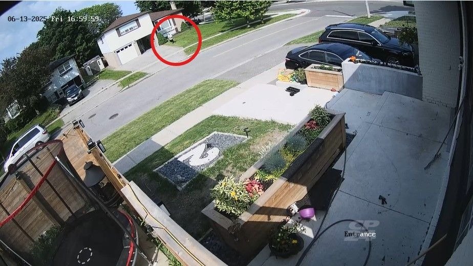 安全感崩塌!多伦多光天化日入室盗窃,七旬夫妇被下个半死!全社区警钟敲响!