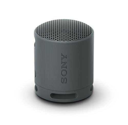 SRS-XB100 无线便携蓝牙音箱