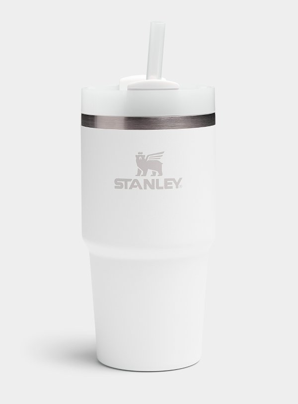 H2.0 20 oz 吸管杯