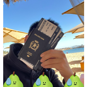 Wanan Luxury夏日大促 巴黎世家护照夹$546(HR价格$625）