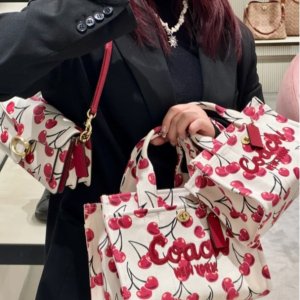 Coach樱桃系列 超热门腋下包$240(原$400)