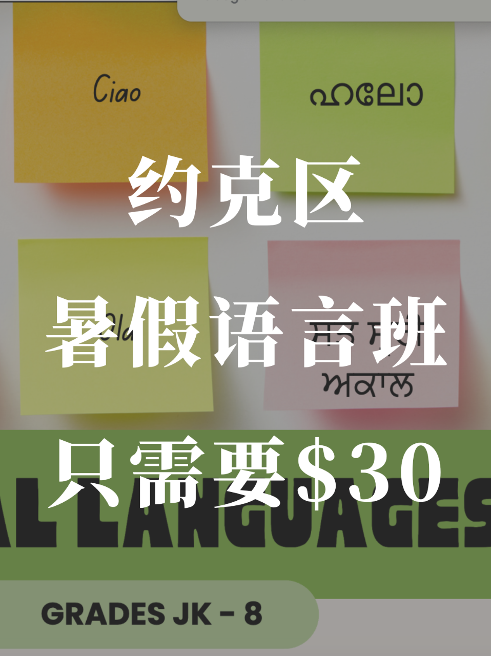 约克区夏季📑国际语言课程只需要30🔪❗️...