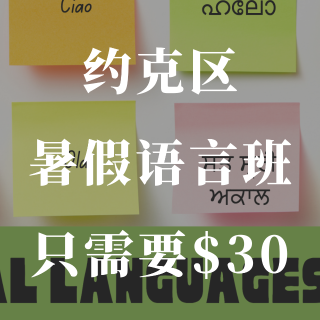 约克区夏季📑国际语言课程只需要30🔪❗️...