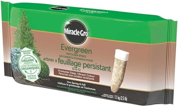 Gro Evergreen 肥料尖刺 - 10 包