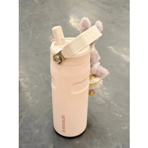 The IceFlow 2.0 770ml拎拎杯