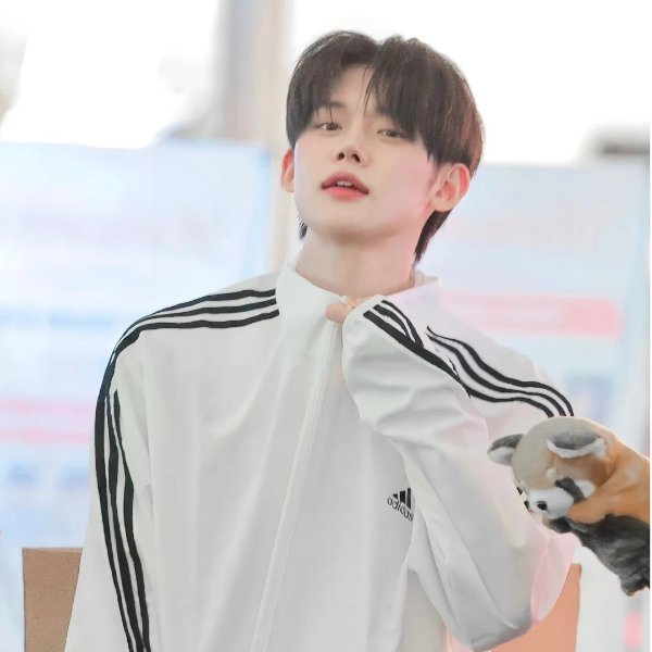 男款三条杠夹克