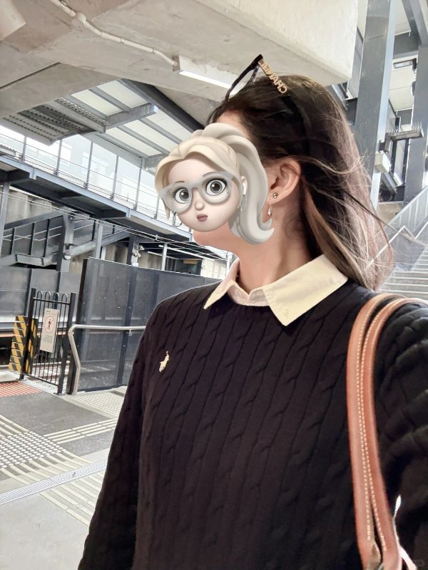  马面刺绣圆领毛衣