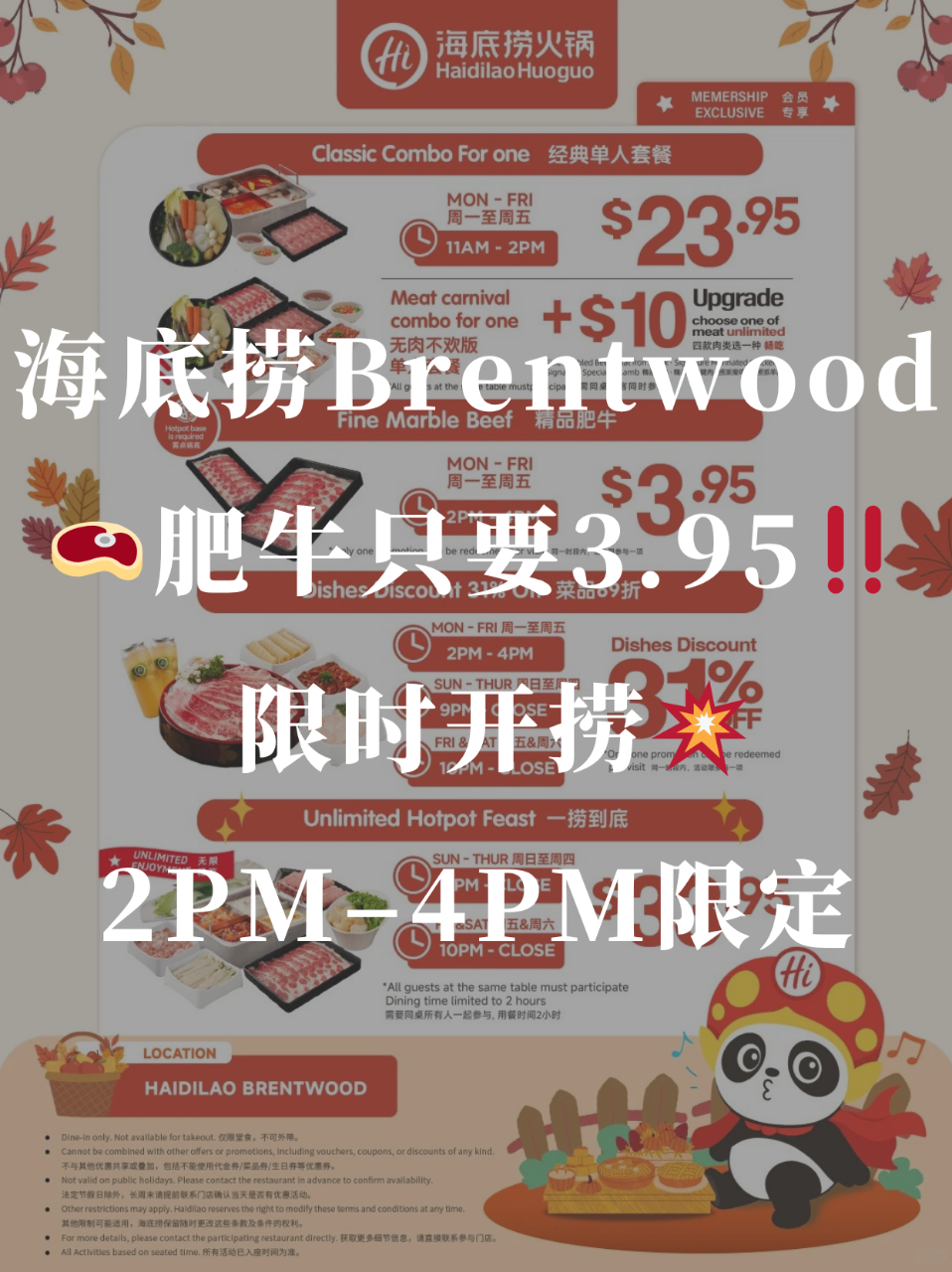 🥩只要$3.95！海底捞限时肥牛福利太香...