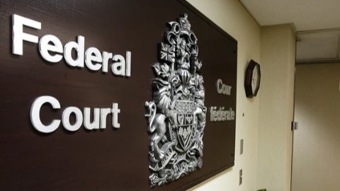 女子嫁加拿大已婚男，还生育仨子女！造假移民遭撤销，上诉后法院判决震惊网友！