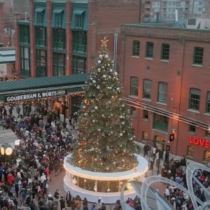 超大圣诞树点灯仪式🎄已开票！