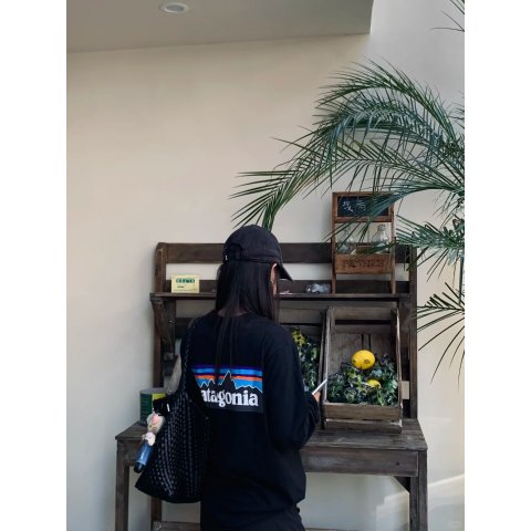 Patagonia 男款P-6标志T恤