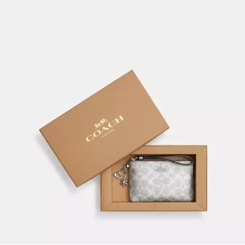 Coach 手拿包 链饰 棕色