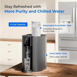 $329入封面同款冷热同饮