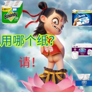 Lysol大瓶全年最低$10.44！