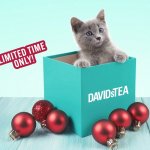 圣诞礼物提前备❗️DavidsTea 抹茶系列上新