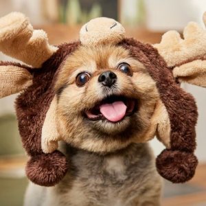 低至5折 折上折叠加