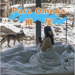 Parc Omega 动物园+狼屋网一大促 雪中看更美