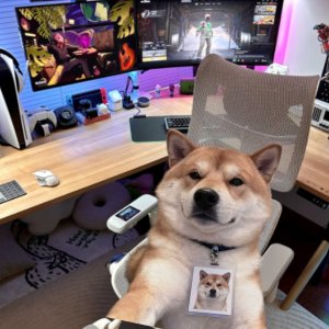 Sihoo 工学椅 $159起